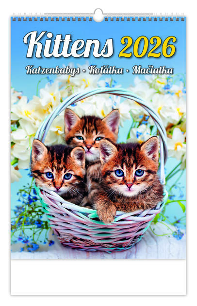 Bildkalender - Kittens