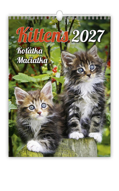 Bildkalender - Kittens
