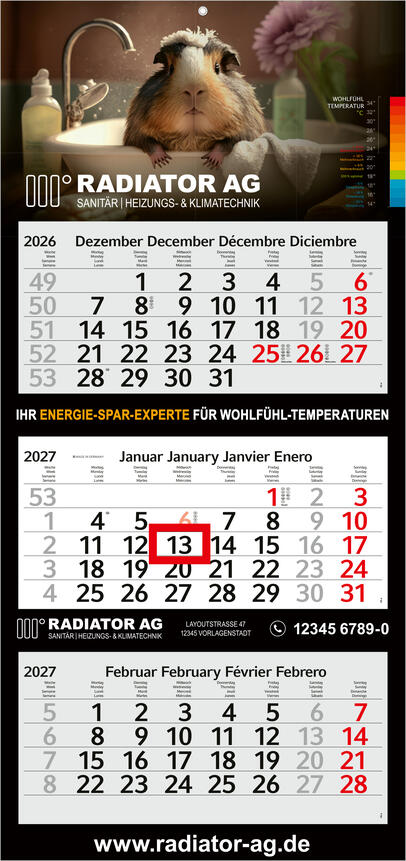 Bürokalender - 3-Monatskalender P3